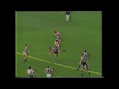 North Melbourne vs Geelong Rd 8 1991 (News Report)