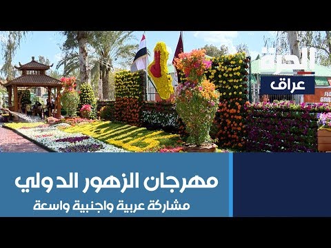 شاهد بالفيديو.. مهرجان الزهور الدولي ببغداد.. مشاركة عربية واجنبية واسعة