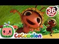 Ants Go Marching + More Nursery Rhymes & Kids Songs - CoComelon