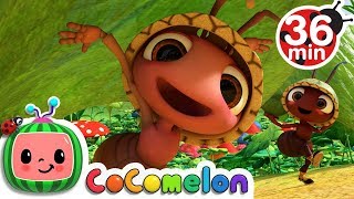 Ants Go Marching + More Nursery Rhymes &amp; Kids Songs - CoComelon