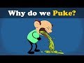 Why do we Puke? | #aumsum #kids #science #education #children Why do we Puke? | #aumsum #kids #science #education #children