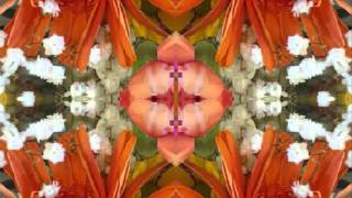 Heart Trouble (by the Bap Kennedy Trio live in Italy, 2014)