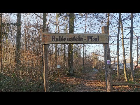 Traumschleife Kaltenstein Pfad 
