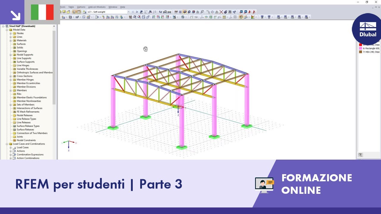 Corsi di formazione online | RFEM per studenti | Parte 3