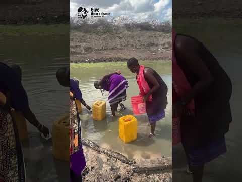 Obrazek poglądowy filmu YouTube