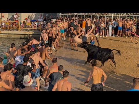 BOUS A LA MAR. Spain, Denia 2025