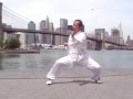 Chen Tai Chi Lao jia yi lu 