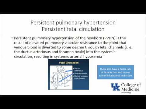 Keyword Review: Pediatric Anesthesia Part 1 - Dr. Reddy