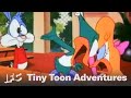 Promo Tiny Toon Adventures Younger Loons IFC Fanmade