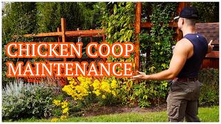 My Least Favorite Farm Chore: Cleaning The Chicken Coop & Run!