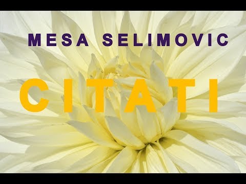 Meša Selimović citati