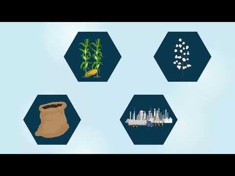 What is oex cryptocurrency market
