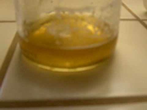 download lagu mp3 mp4 How To Make Blender Hash, download lagu How To Make Blender Hash gratis, unduh video klip How To Make Blender Hash