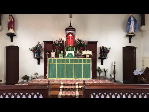 Live Traditional Latin Mass Sunday 20th September, 2020 at St Anne’s - 16th Sunday After Pentecost