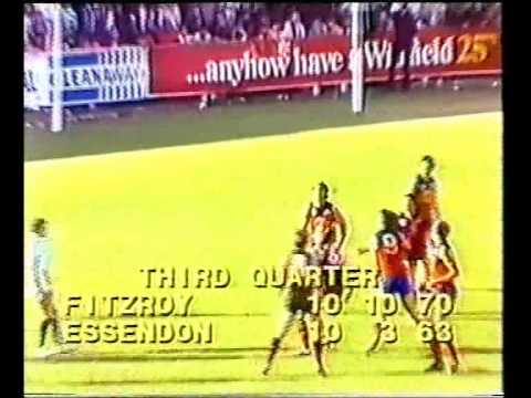 VFL R5 1982 - Fitzroy v Essendon