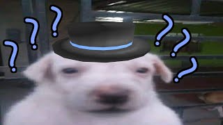 What You KnoKnoKno (Two Door Cinema Club x 100 Gecs)