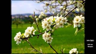 Bert Kaempfert - In Apple Blossom Time