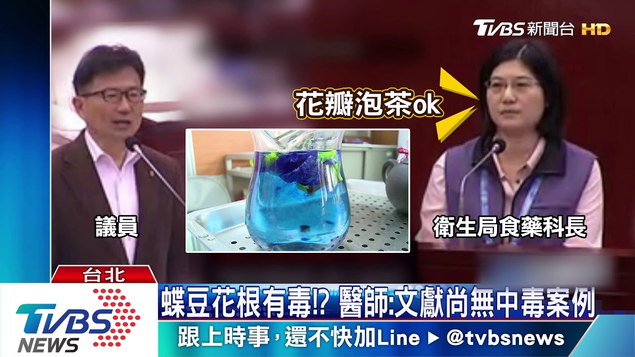 超美蝶豆花漸層飲「星空」有毒？　醫師這樣說