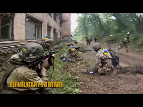 Ukrainian Elite Brigade Eliminates Russian Reconnaissance Troops Near Border
