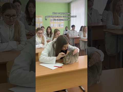 Боюсь представить как списывают урологи. Автор видео: @angela.vet Смешные комментарии.  #юмор #мемас