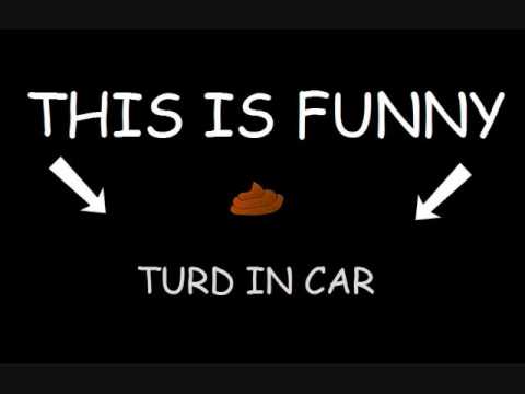 Theres a Turd in my Car