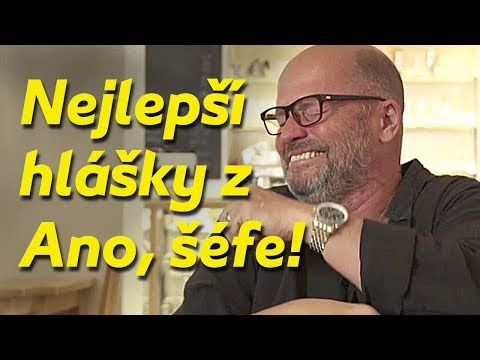 Ano, šéfe! - Nejlepší hlášky