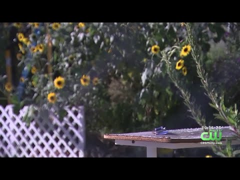 Life Do Grow: Urban Farm In North Philadelphia Growing More Than Just Plants