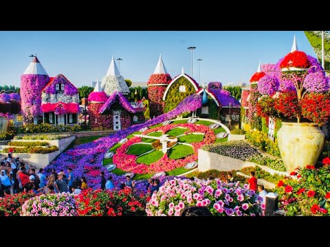 , title : 'Miracle Garden Dubai 2022 || The world’s largest natural flower garden'