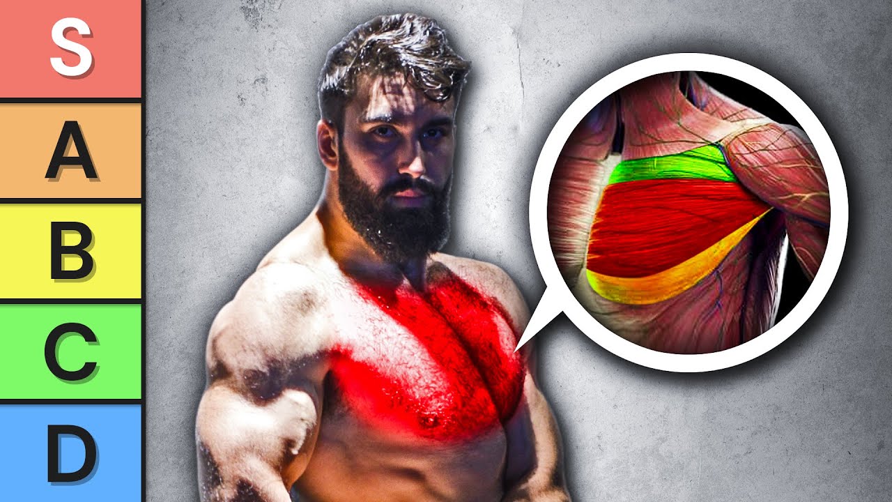 The ULTIMATE Chest Exercise Tier List (Based on Science)