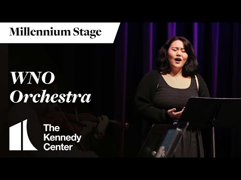 Washington National Opera | Vibepedia