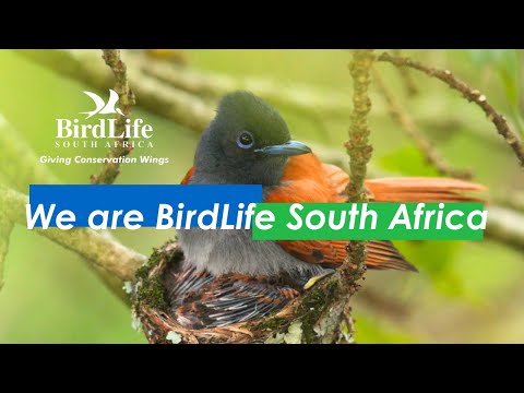 We Are BirdLife South Africa