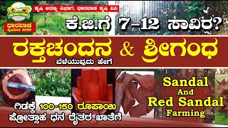 ರಕ್ತಚಂದನ ಮತ್ತು ಶ್ರೀಗಂಧ ಕೃಷಿ | Sandalwood and Red Sandal Farming | Dharwad Krishi Mela 2022 ಕೃಷಿ ಮೇಳ