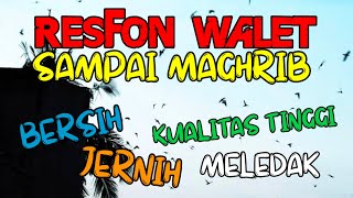 Download lagu Suara Panggil Burung Walet Full 24 JAM mp3