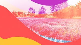 Carl Nunes &amp; TripL - Better World