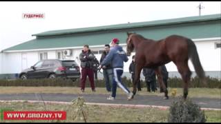 Рамзан Кадыров посетил Гудермесский заповедник