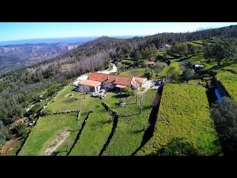 房子：417 平方米