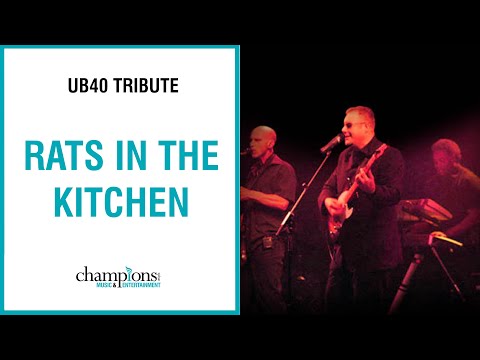 UB40 Tribute Act - Rats In The Kitchen