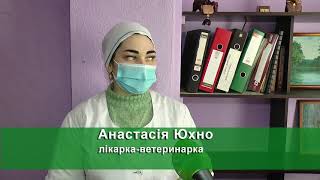 Безкоштовна вакцинація в Харкові: кому не можна робити щеплення від сказу