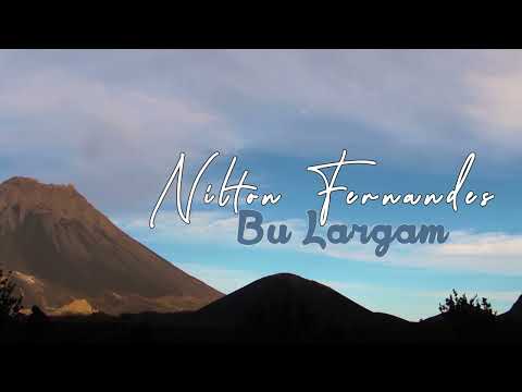 Niltom Fernandes( NF)-- Bu Largam