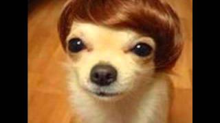 Hot Chip - (Just Like We) Breakdown