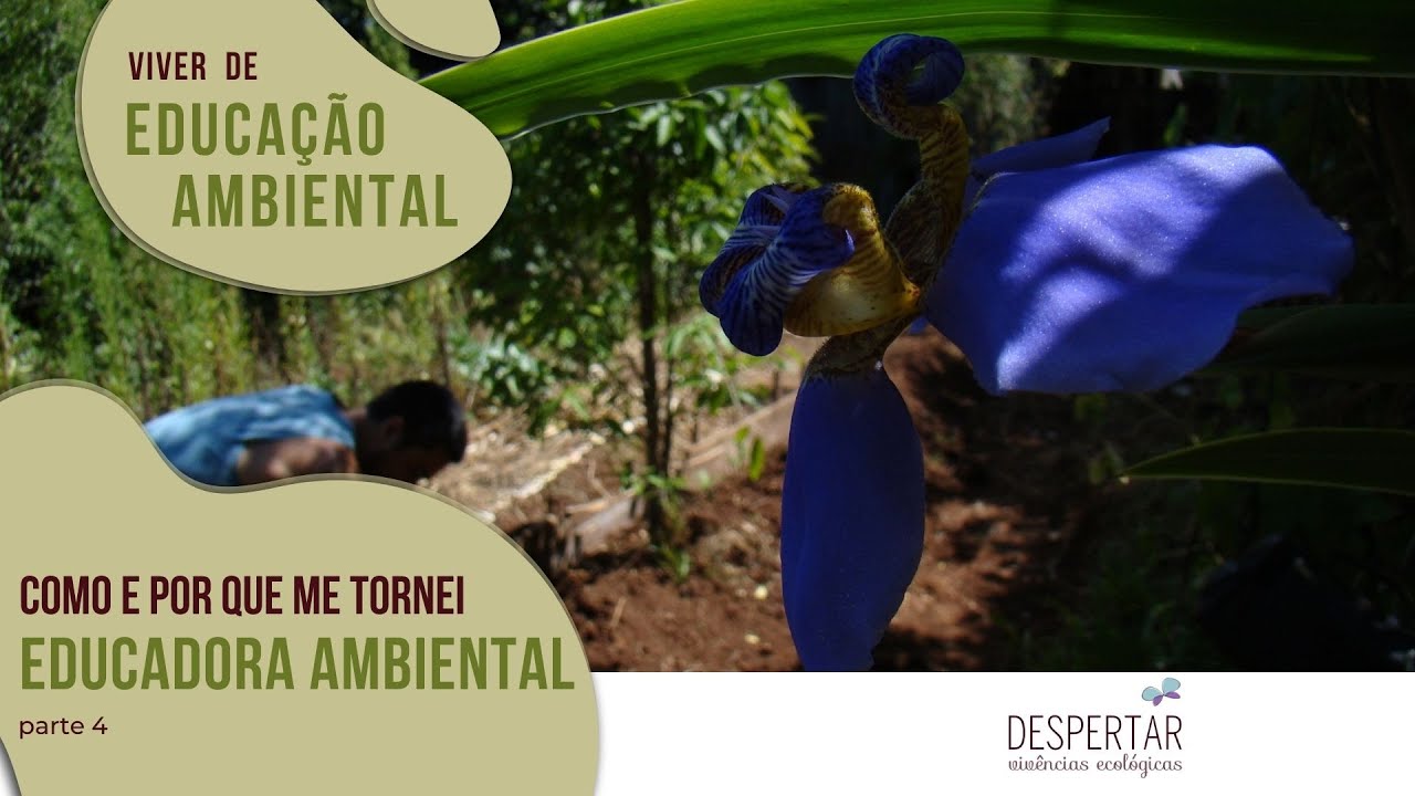 QUER SER EDUCADOR AMBIENTAL? ENTÃO VOCÊ PRECISA SABER DISSO - Como me tornei uma EA (parte 4)