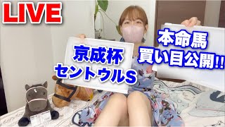 【LIVE】セントウルS・京成杯2024の本命馬・買い目公開‼︎