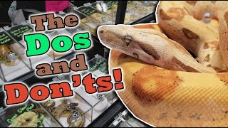 How to Shop at a Reptile Expo!