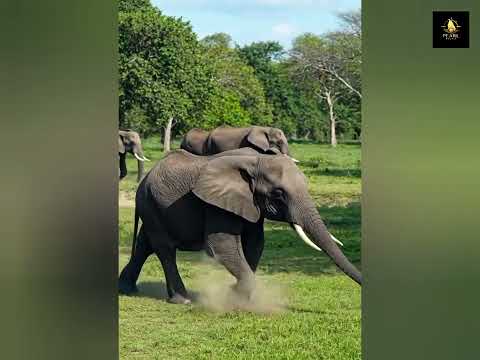 This 2,000-Year-Old Sri Lankan City Will Blow Your Mind! | Anuradhapura 🇱🇰 