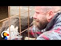 Guy Rescues Hundreds Of Dogs From City Shelters The Dodo