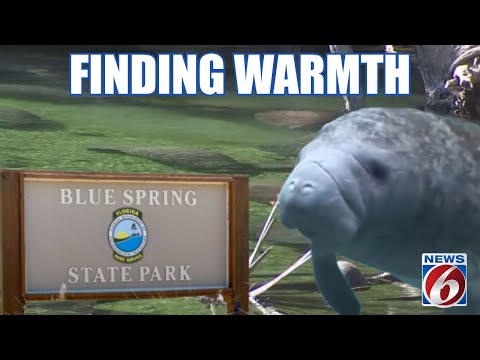 Florida Trend Video Pick - Video