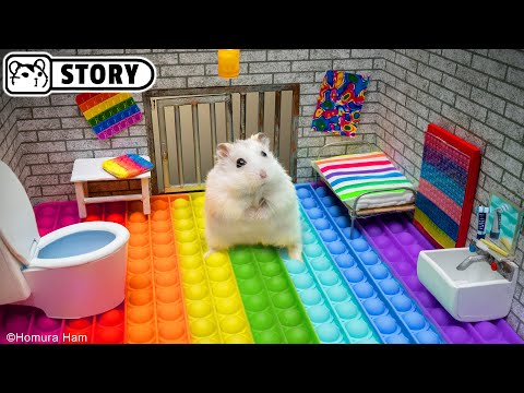 🐹 Hamster Escapes the Pop It Maze for Pets in real life 🐹 Homura Ham