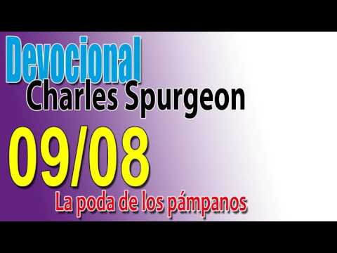 Devocional Charles Spurgeon 09/08 - La poda de los pámpanos