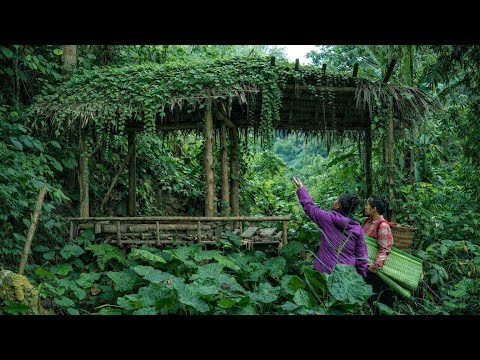 Eine freundliche alte Frau half einer alleinerziehenden Mutter und schenkte ihr ein verlassenes Haus