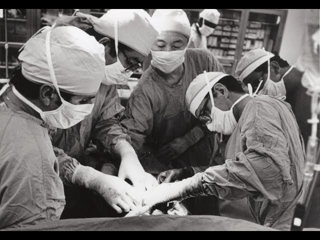 BURDEN OF GENIUS Official Trailer